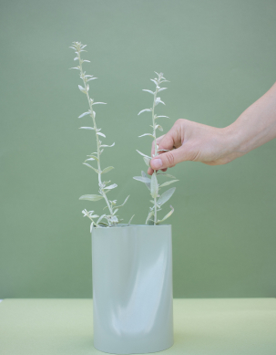 houseplants supplies shop popup2.jpg